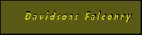 DavidsonsFalconry_logo